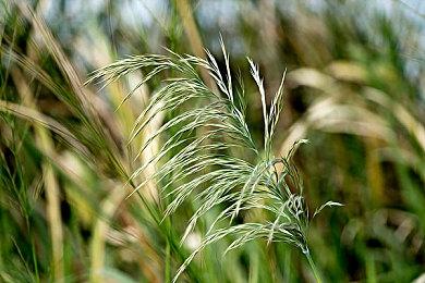 B站首届巅峰玩家大奖赛开启：十场游戏赛事、万元奖金等你来战！